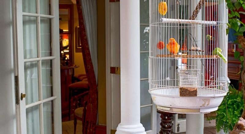 The Munro Boutique Hotel Γιοχάνεσμπουργκ Εξωτερικό φωτογραφία